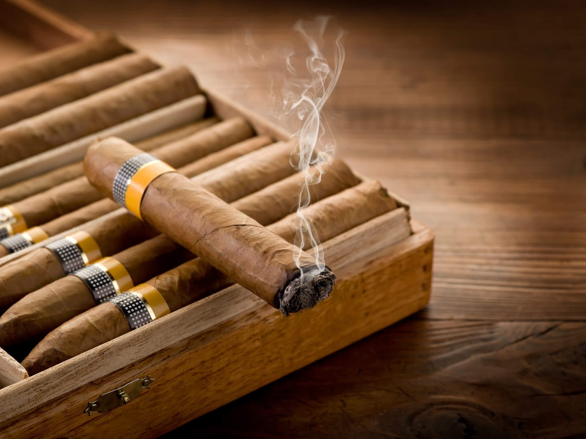 Ihre Zigarren verdienen nur das Beste: Premium Humidore entdecken