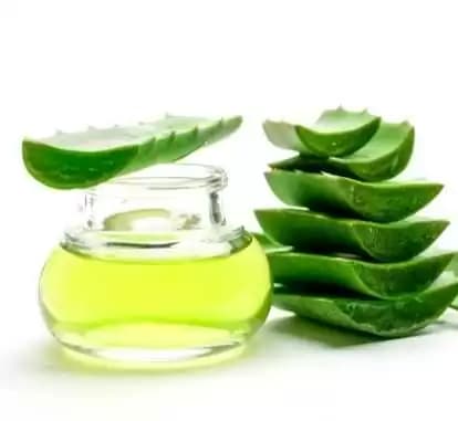 Entdecken Sie die heilende Wirkung von Forever Living Aloe Vera