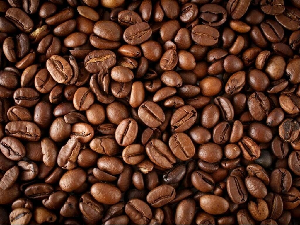 Maycoffee Memoirs: Die Momente des Lebens festhalten, eine Tasse nach der anderen