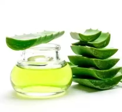 Entdecken Sie die heilende Wirkung von Forever Living Aloe Vera