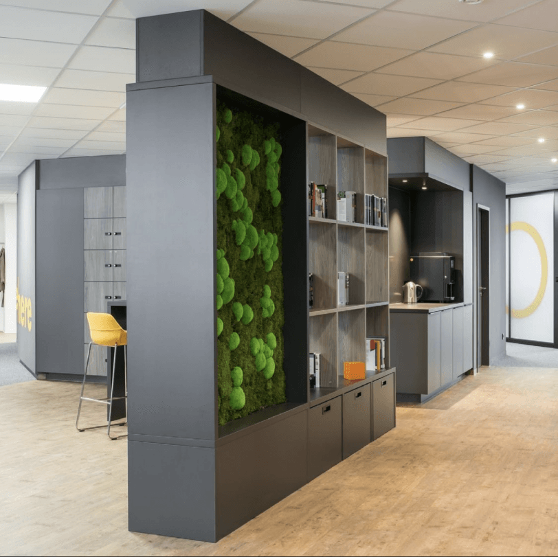 Kreativität im Büro: Wie eine Mooswand inspirieren kann