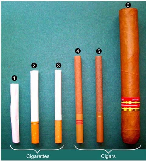Qualität und Auswahl: C-Cigars bietet das Beste für Zigarrenliebhaber