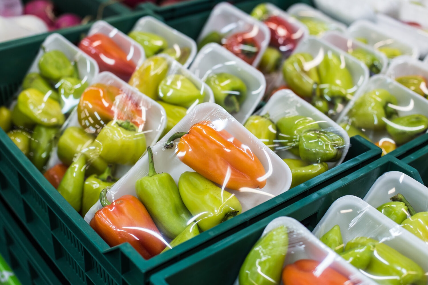 Mit Fast-Pack zur Nachhaltigkeit: Biologisch verpacken und punkten!
