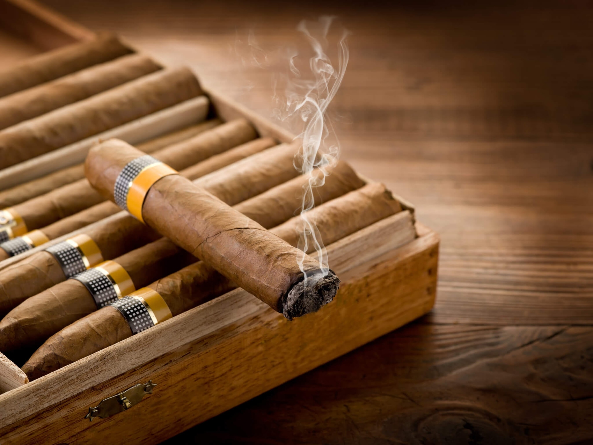 Ihre Zigarren verdienen nur das Beste: Premium Humidore entdecken