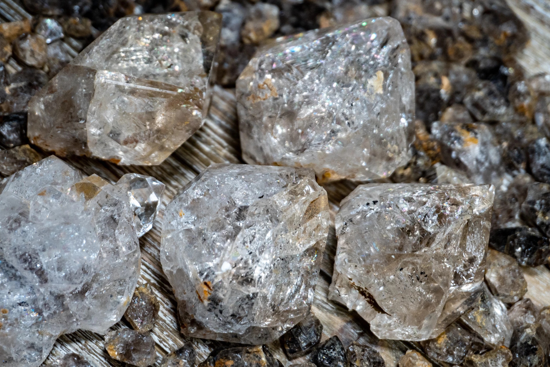Diamant Stein: Visionen aus der Coral Cove