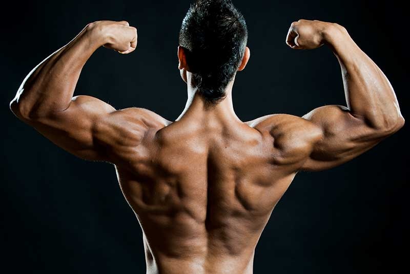 APS Mesomorph: Wie der APS Mesomorph Booster dein Workout verändert