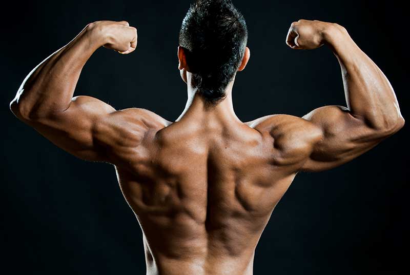 APS Mesomorph: Wie der APS Mesomorph Booster dein Workout verändert